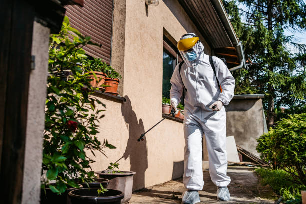 Best Wasp Removal Services  in Salt Creek Commons, IN