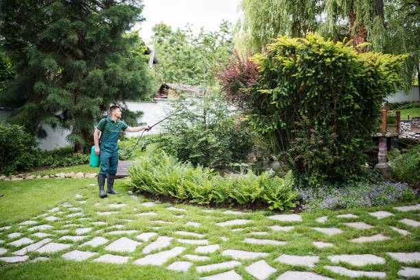 Best Pest Removal Services  in Salt Creek Commons, IN
