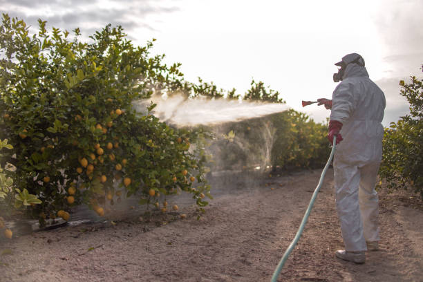 Best Best Pest Control Companies  in Salt Creek Commons, IN