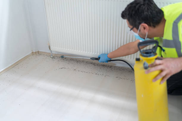 Pest Control Cost in Salt Creek Commons, IN